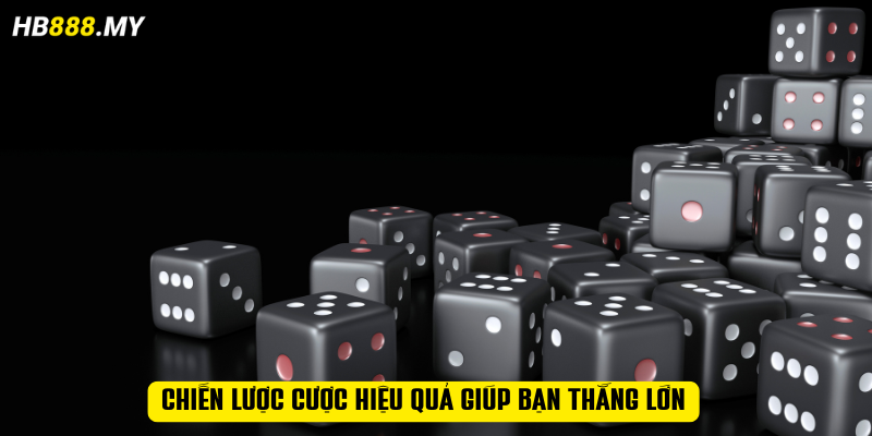 Chiến lược cược hiệu quả giúp bạn thắng lớn