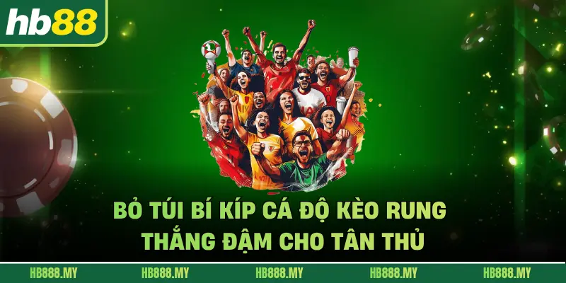 Bỏ túi bí kíp cá độ kèo rung thắng đậm cho tân thủ