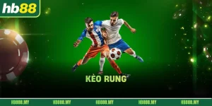 Kèo Rung – Giải Mã Sức Hút Của Kèo Live Tại Nhà Cái HB88