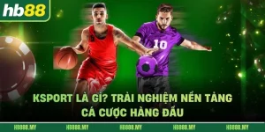 Ksport Là Gì? Trải Nghiệm Nền Tảng Cá Cược Hàng Đầu