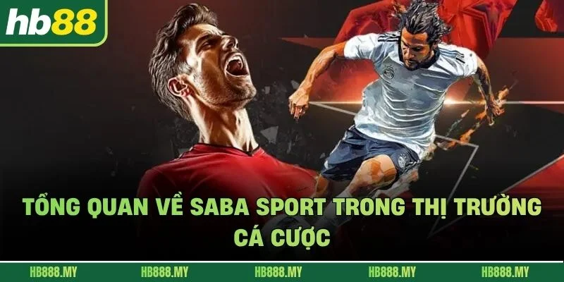 Tổng quan về Saba sport trong thị trường cá cược